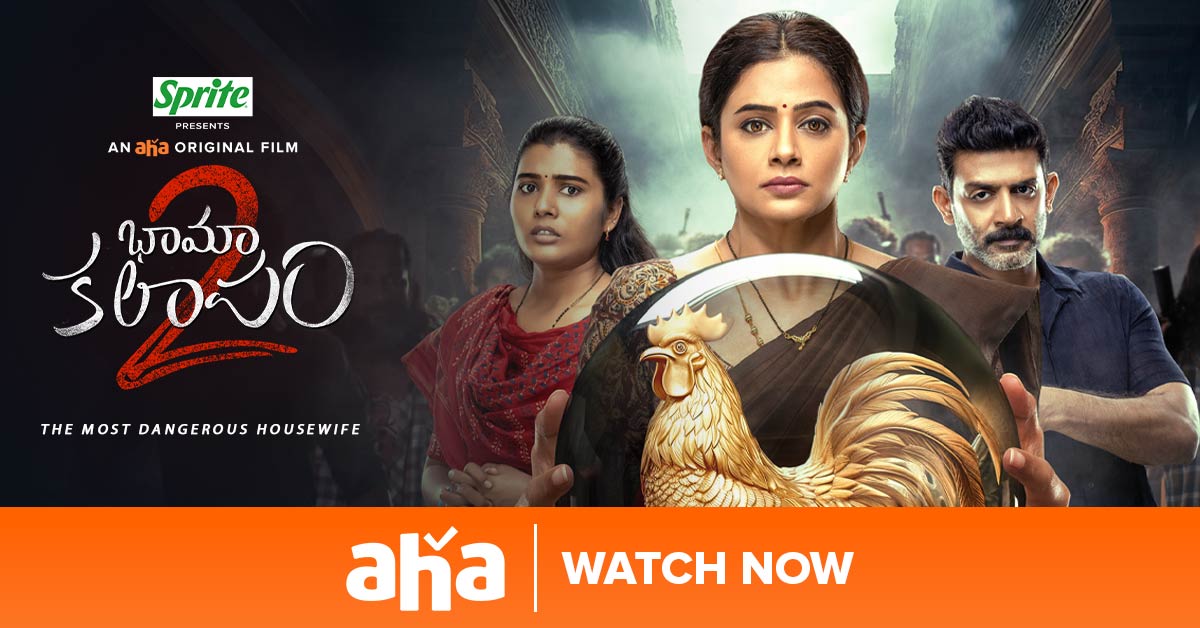 Bhamakalapam 2 movie